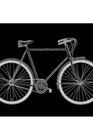 zwart wit fiets Gecertificeerd
